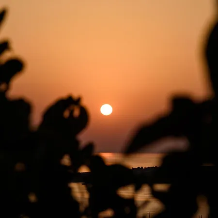 Petra-sunset House Near Parikia For Up To 4 Guests アパート